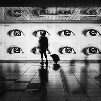 City of Monochrome Patterns