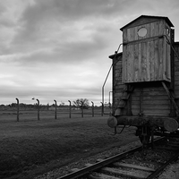 Anus mundi (Auschwitz-Birkenau)