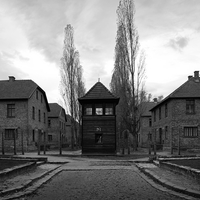 Anus mundi (Auschwitz-Birkenau)