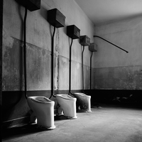Anus mundi (Auschwitz-Birkenau)