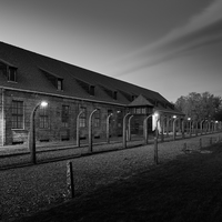 Anus mundi (Auschwitz-Birkenau)