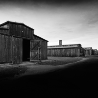 Anus mundi (Auschwitz-Birkenau)