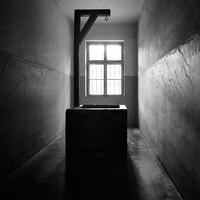 Anus mundi (Auschwitz-Birkenau)