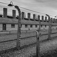 Anus mundi (Auschwitz-Birkenau)