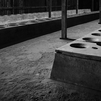 Anus mundi (Auschwitz-Birkenau)