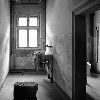 Anus mundi (Auschwitz-Birkenau)