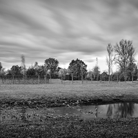 Anus mundi (Auschwitz-Birkenau)