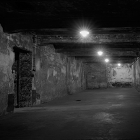 Anus mundi (Auschwitz-Birkenau)