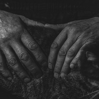 FATHER: THE STORY OF A LIQUIDATOR