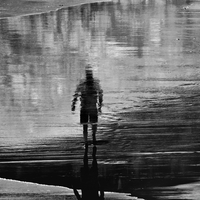 Réflexions le long des rivages