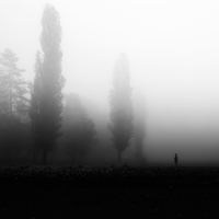 Fog Walkers