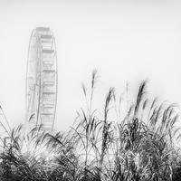 Fog Walkers