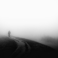 Fog Walkers