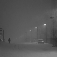 Silent dawn 