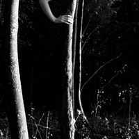 The Nature of all Things