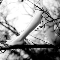The Nature of all Things