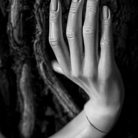 The Nature of all Things