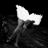 Fallen Angels