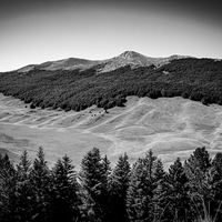 THE RESTANZA
