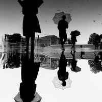 Reflected Lives