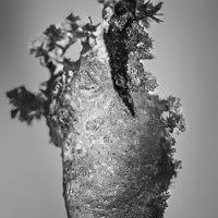 L'hiver, sculpteur de talent