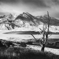 Patagonia