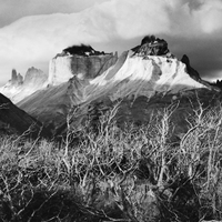Patagonia