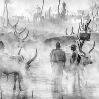 Pastoral peoples and Practices