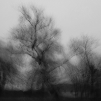 Winters Solace