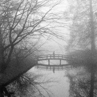Misty days