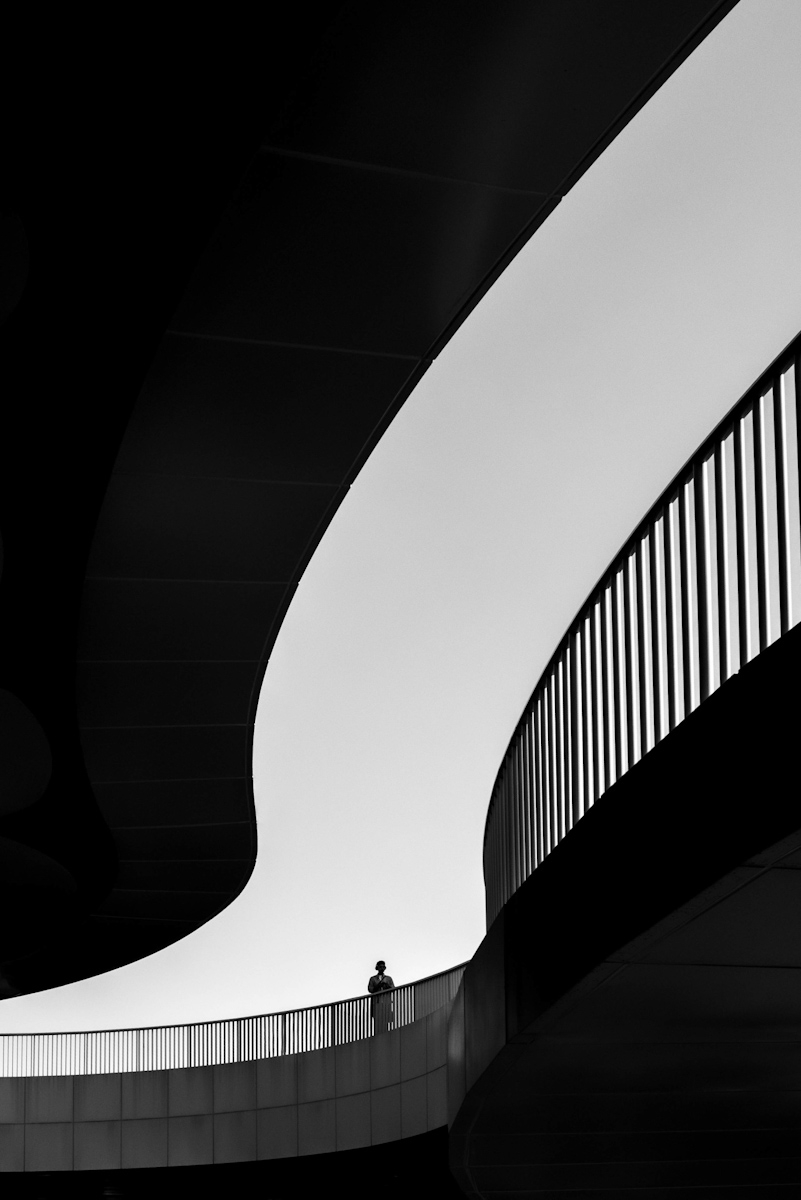 Between Curves