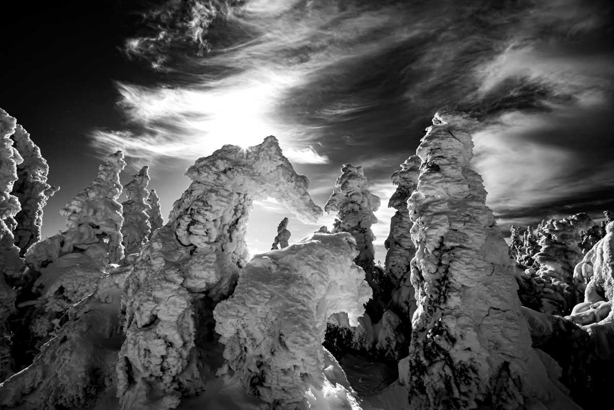 Un hiver fantasmagorique