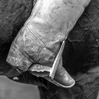 Buzkashi - Men's World