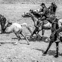 Buzkashi - Men's World