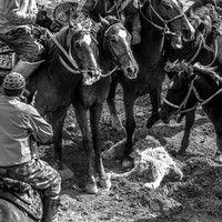 Buzkashi - Men's World
