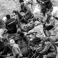 Buzkashi - Men's World