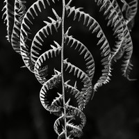 Jagged edge