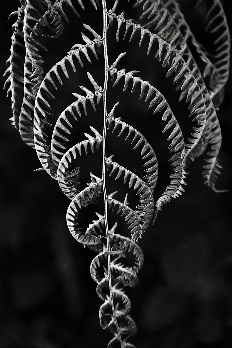 Jagged edge