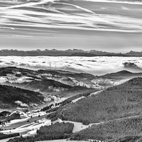 Winter Fog