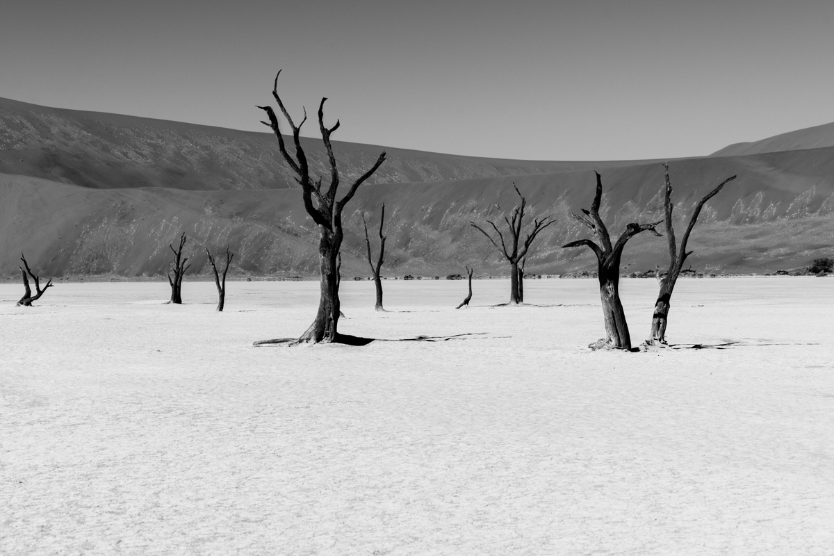 Dancing Death trees