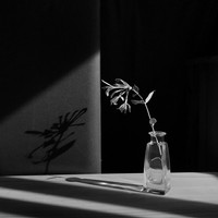 silence