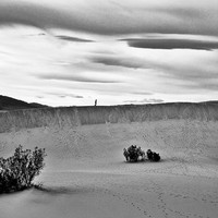 Contemplative Landscapes: Death Valley, California