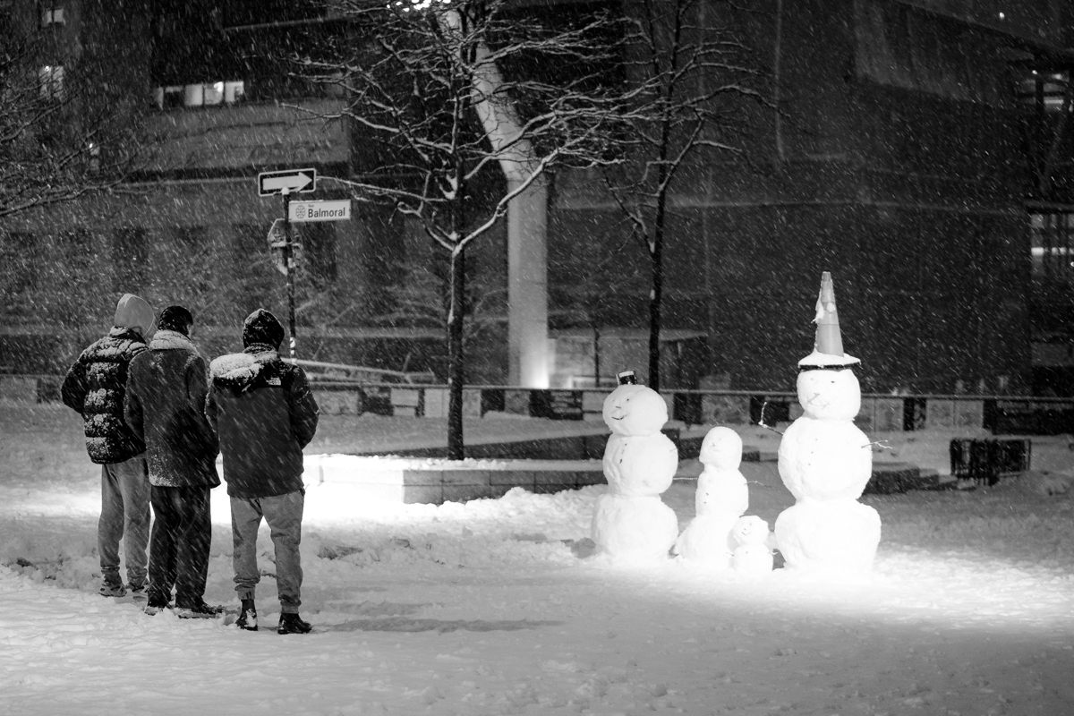 Snowlights