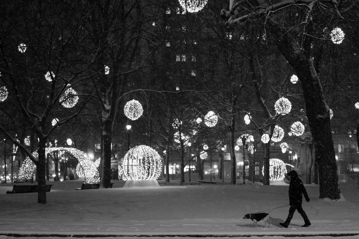 Snowlights