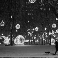 Snowlights