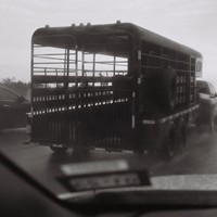 Dreary Texas Coast (out of my car)
