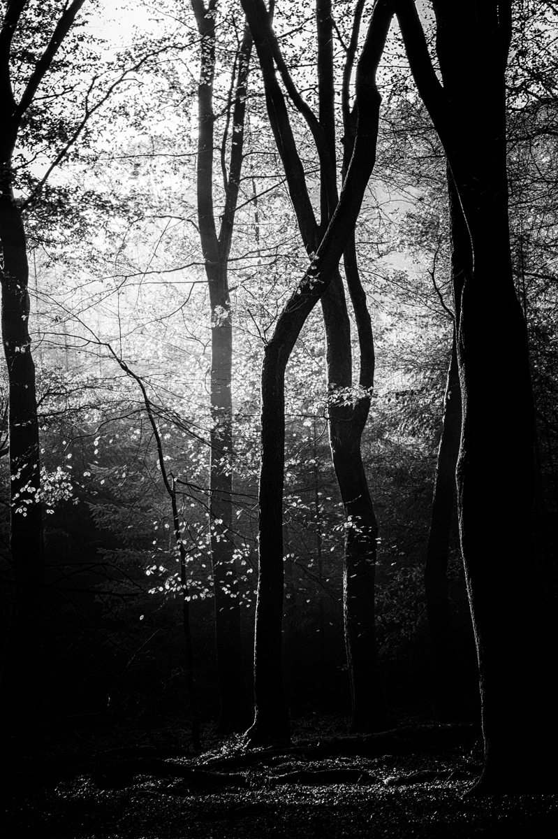 Dancing in the dark