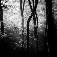 Dancing in the dark