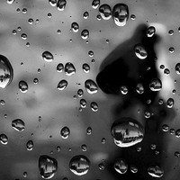 TEARS IN THE RAIN