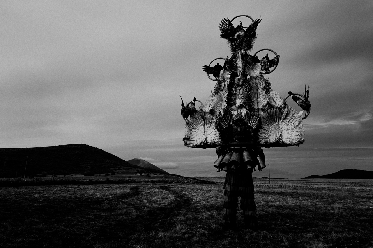The Guardian